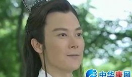 王灿演员爆料最新视频在线观看,揭秘演艺圈幕后真相