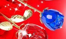 最新水晶玫瑰抽奖爆料,最新爆料带你领略神秘大奖风采